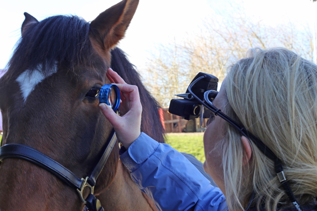 Keeler%20Veterinary%2003