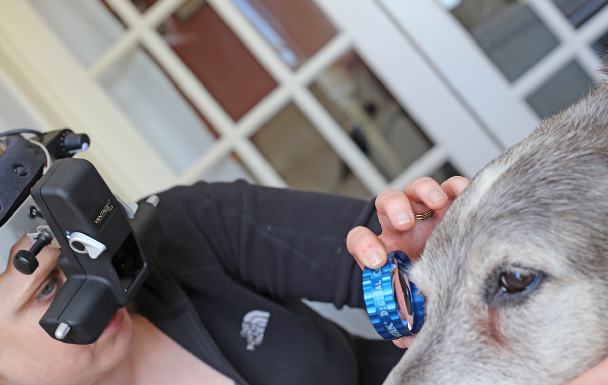 Keeler%20Veterinary%2015