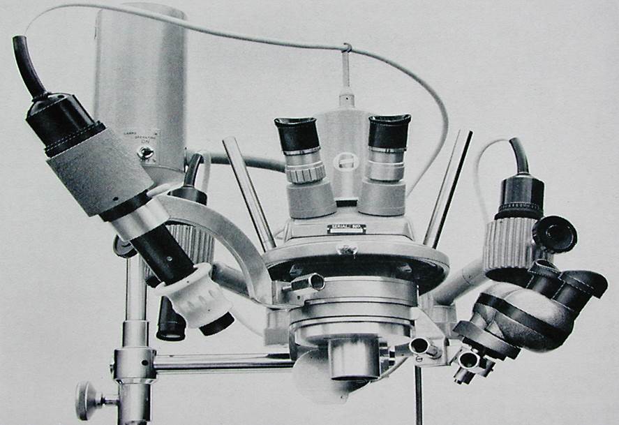 placeholder image-sq