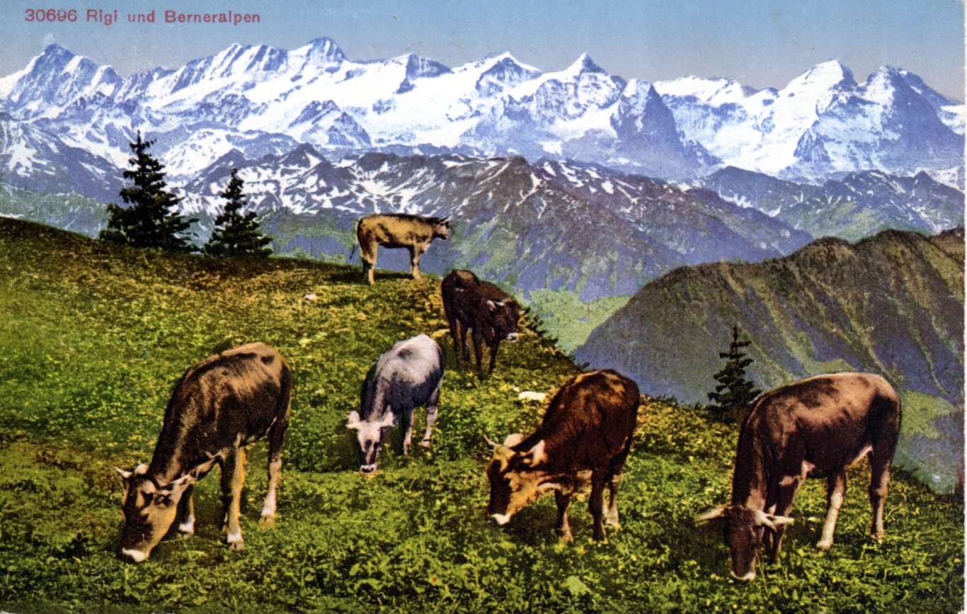 Rigi%20und%20Berneralpen%201929